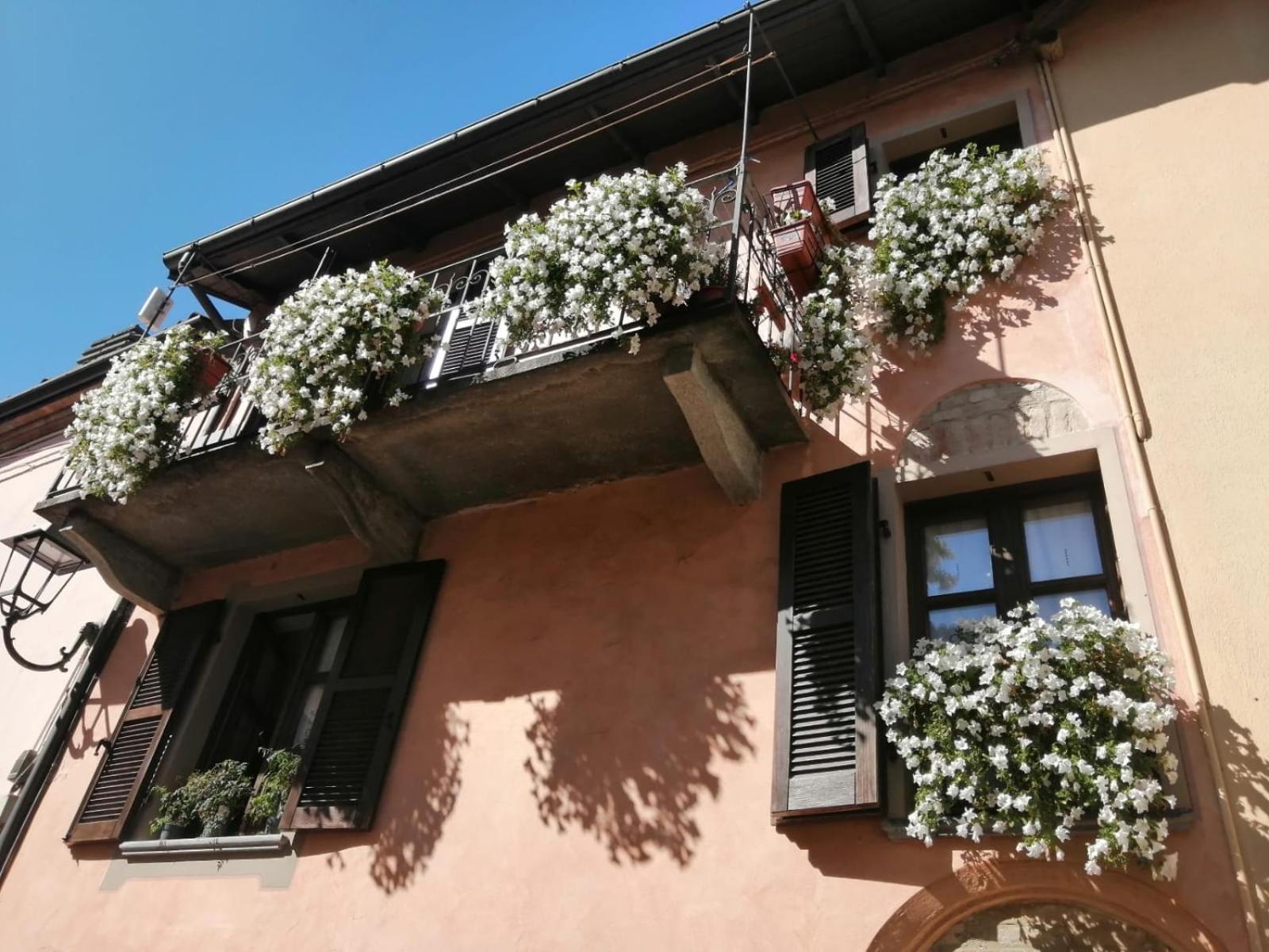 Holiday House Antica Dimora Soggiorni In Langa Centro Storico 라모라 외부 사진